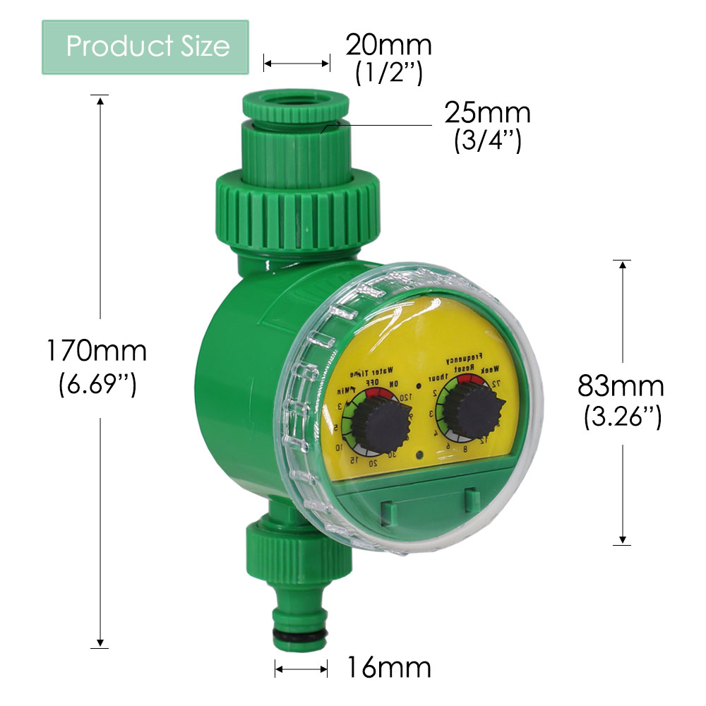 view